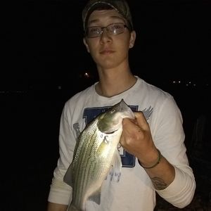 Meet your Posher, Nathan